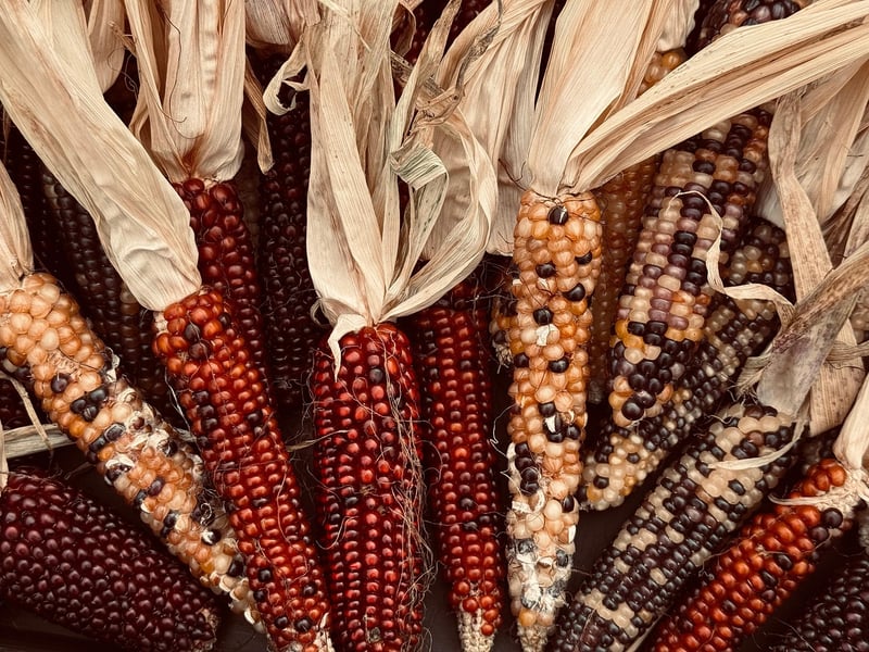 Culinary diversity
